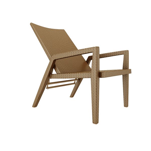 ADJUSTABLE LOUNGE CHAIR WITH CUSHION