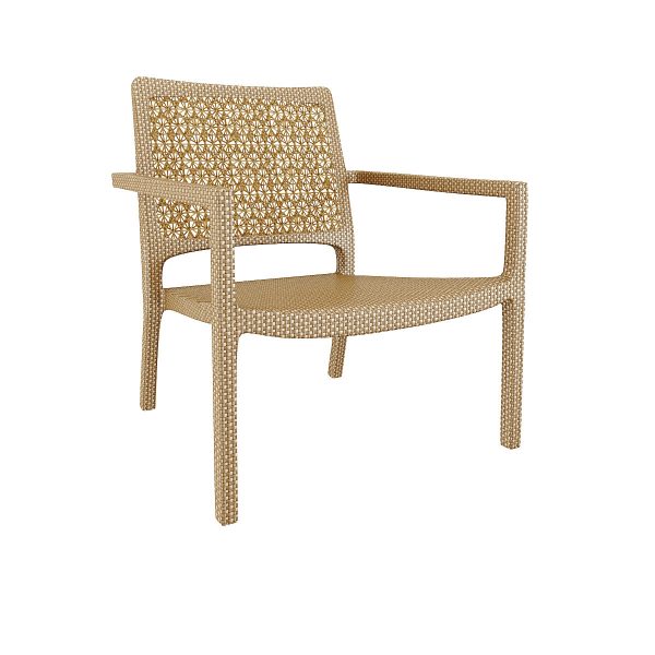 LOUNGE ARMCHAIR WITH CUSHION